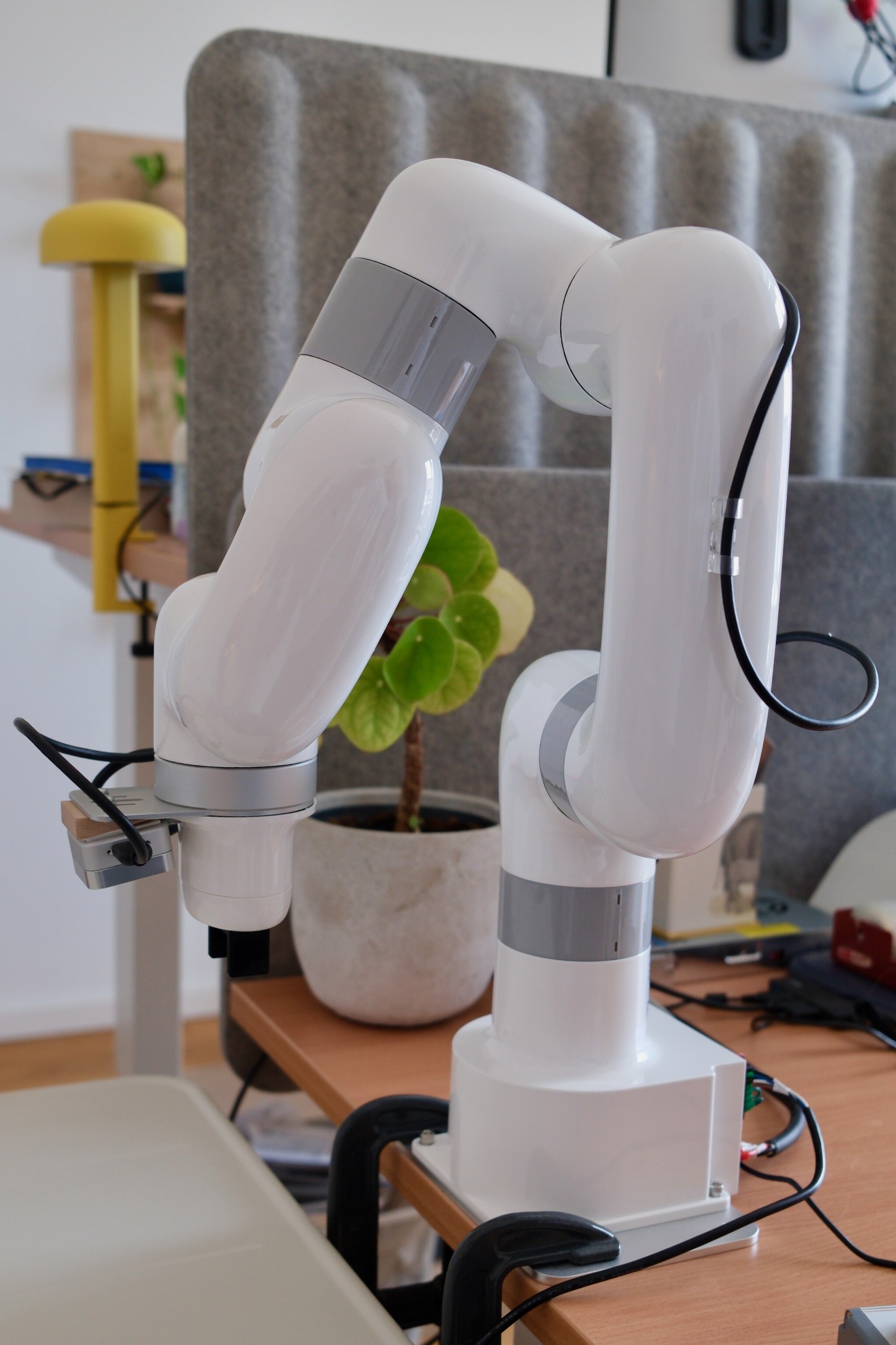 The UFACTORY xArm Lite 6 robot arm with a wrist-mounted camera and parallel gripper.